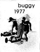 1977 buggy book